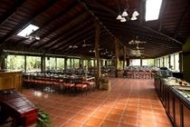 גואנקסטה Buena Vista Lodge & Adventure מראה חיצוני תמונה